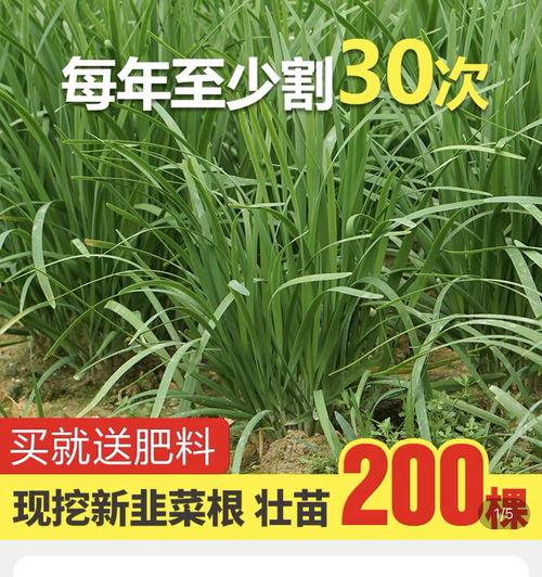 吃瓜爆料环保局,环保局内部风波揭秘！”
