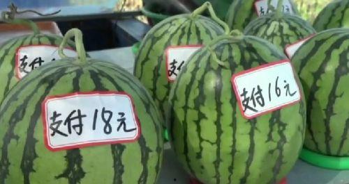 湖北最新吃瓜爆料新闻,揭秘神秘事件背后的真相