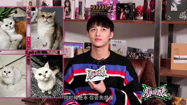 明星网红直播送礼物视频