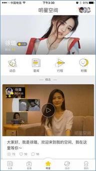 微博明星网红入驻人数,揭秘网红经济新趋势”