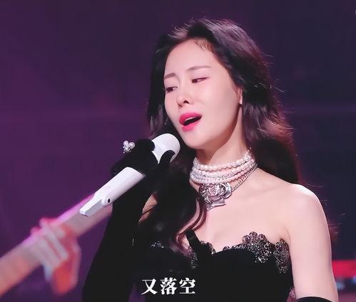明星网红晚宴