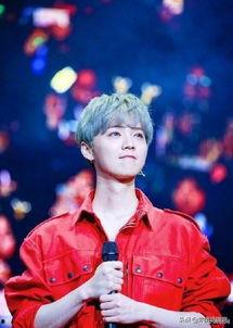 彩虹明星网红,揭秘网红明星的多彩人生