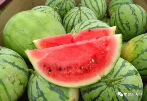 瓜爆料入口51cg吃瓜视频,揭秘娱乐圈最新瓜料，带你领略幕后风云