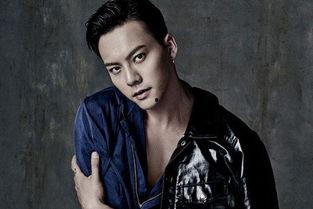 帅明星网红,闪耀网络，引领潮流的璀璨之星