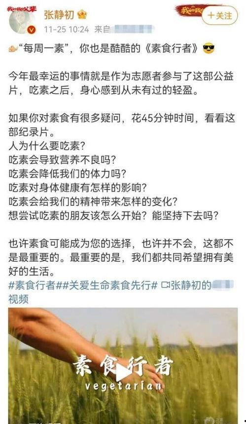 吃瓜内涵爆料文案高级感,高级吃瓜文案背后的真相与内幕