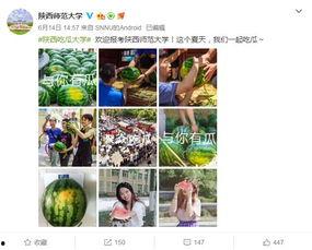学院吃瓜爆料视频素材,吃瓜爆料视频背后的真相大揭秘