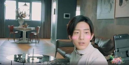 明星网红家,明星网红家的奢华生活揭秘