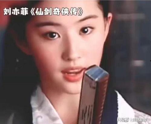 真假明星网红,网络世界的真实与虚幻