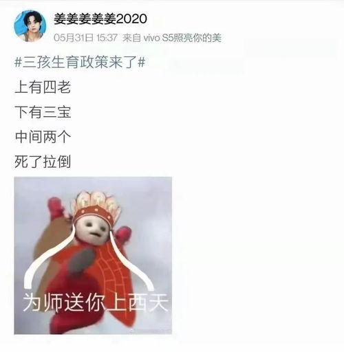 明星网红评价梅河口房价,涨跌背后的投资风向标”