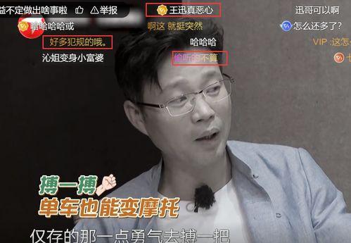 明星网红评价梅河口房价,涨跌背后的投资风向标”