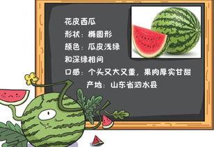 吃瓜爆料小说免费阅读,免费阅读吃瓜小说背后的故事