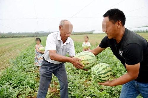 太和吃瓜谁爆料的,揭秘爆料背后的真相