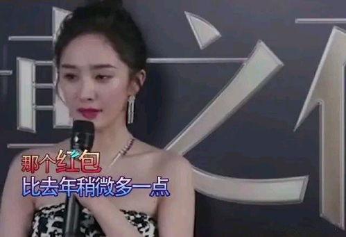 明星网红节