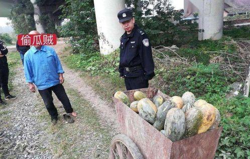 蔚县吃瓜事件最新爆料,最新爆料揭示惊人内幕