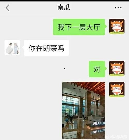 吃瓜爆料在哪个平台,吃瓜爆料，热门平台背后的故事与真相”