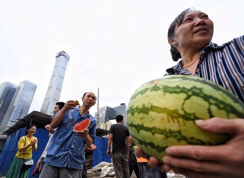 朝阳群众爆料吃瓜事件,吃瓜事件背后的真相