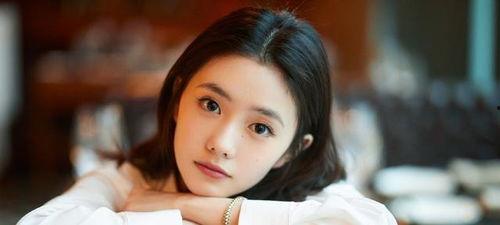 明星网红资源,明星资源整合新篇章