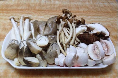蘑菇吃瓜料每日爆料,揭秘娱乐圈最新爆料动态