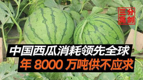 河北吃瓜爆料是真的吗,真相揭秘，是真是假？