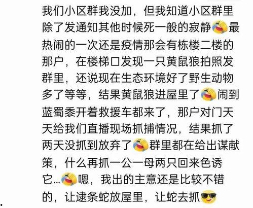 文综吃瓜大爆料,揭秘幕后真相与精彩瞬间