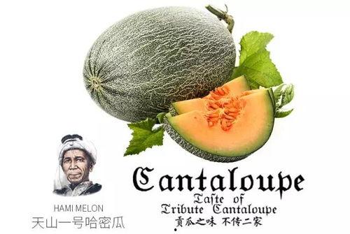 吃瓜爆料b31,揭秘娱乐圈最新热点事件