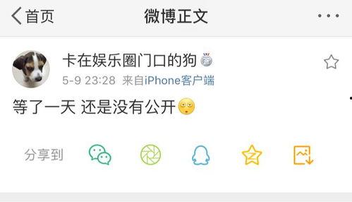 吃瓜爆料的微信,吃瓜爆料，微信带你直击幕后真相