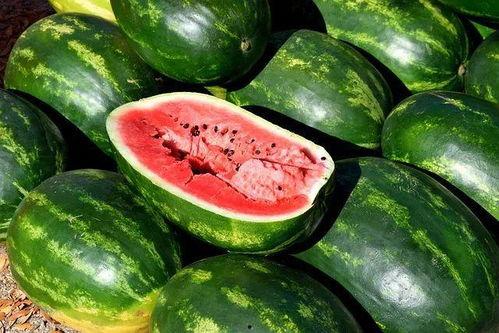 国内爆料吃瓜视频大全,一网打尽娱乐圈风云