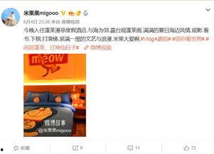 明星网红打卡地点有哪些,明星同款热门地点大盘点