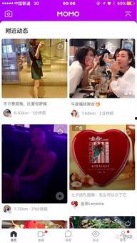 明星网红给佤邦代言视频,共赴魅力之旅