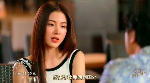 明星网红富婆,闪耀娱乐圈的璀璨星辰