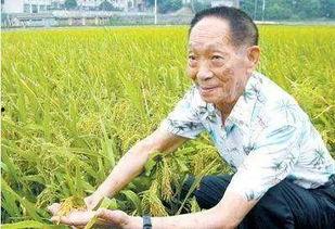 吃瓜爆料袁隆平图片大全,吃瓜群众眼中的农业巨星