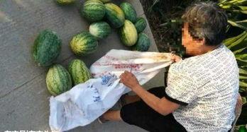 临夏吃瓜最新事件爆料,揭秘背后惊人真相，网络热议持续升温