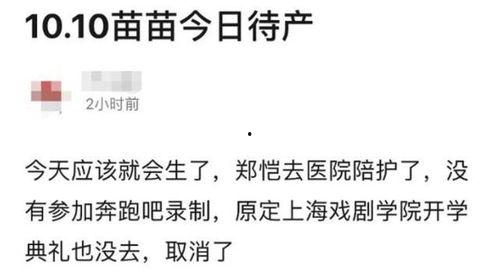吃瓜群众又爆料了,娱乐圈新动态引热议！”