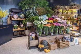 51爆料吃瓜网 花店,花店背后的惊人真相大揭秘！