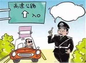 吃瓜爆料违不违法呀,法律边界与道德考量的双重审视