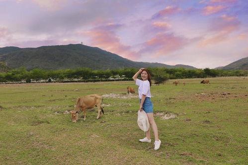 明星网红民宿有哪些地方,明星同款民宿盘点