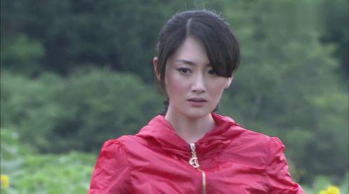 约明星网红从哪里约,揭秘网红约星秘籍