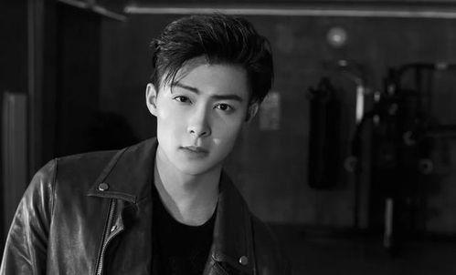 吃瓜爆料张铭恩,吃瓜爆料背后的真相与反思