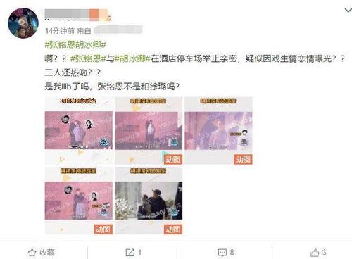 吃瓜爆料张铭恩,吃瓜爆料背后的真相与反思