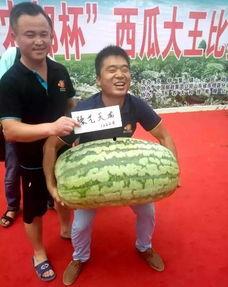 东明县吃瓜爆料,揭秘当地热点事件背后的真相