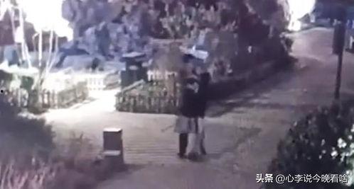 国外吃瓜爆料恐怖视频,国外吃瓜爆料恐怖视频事件始末