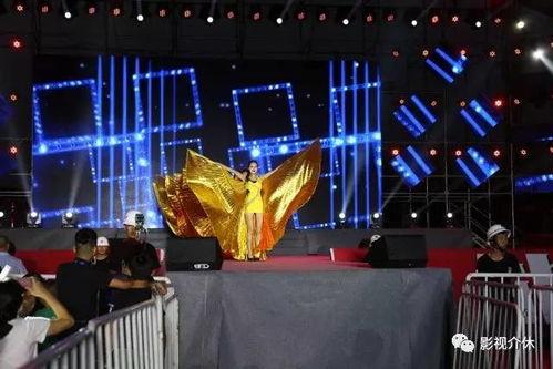 明星网红演唱会现场照片,网红明星的狂欢之夜