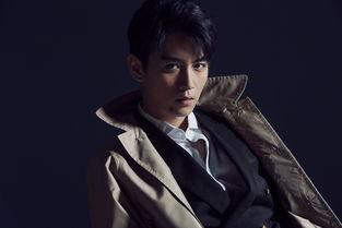 陈晓明星网红,从荧幕明星到网红，跨界发展的璀璨星途