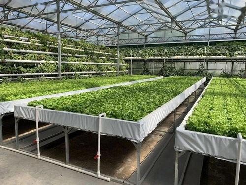 吃瓜爆料交流群怎么进入,如何轻松加入吃瓜爆料交流群，畅享热门话题