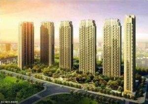 杭州市滨江区明星网红地,揭秘杭州市滨江区明星网红地魅力之旅”