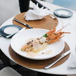 明星网红便当,美味与时尚的完美融合