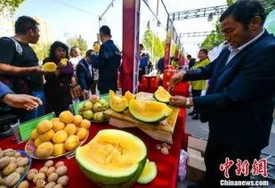 壶关最新吃瓜爆料新闻,揭秘神秘事件背后的真相！