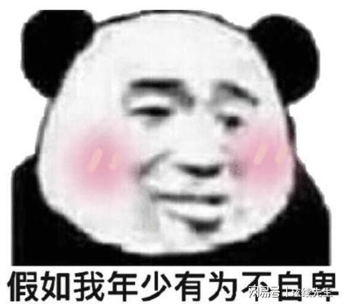 明星网红的八字特征,明星网红的独特魅力与命运轨迹