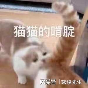 明星网红的八字特征,明星网红的独特魅力与命运轨迹