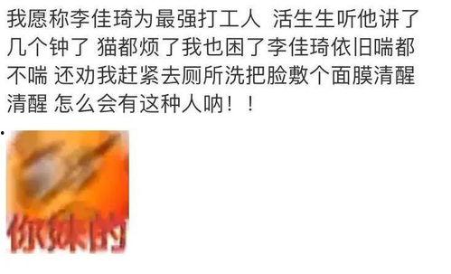 爆料吃瓜文案短句图片高清,一场视觉盛宴的爆料之旅